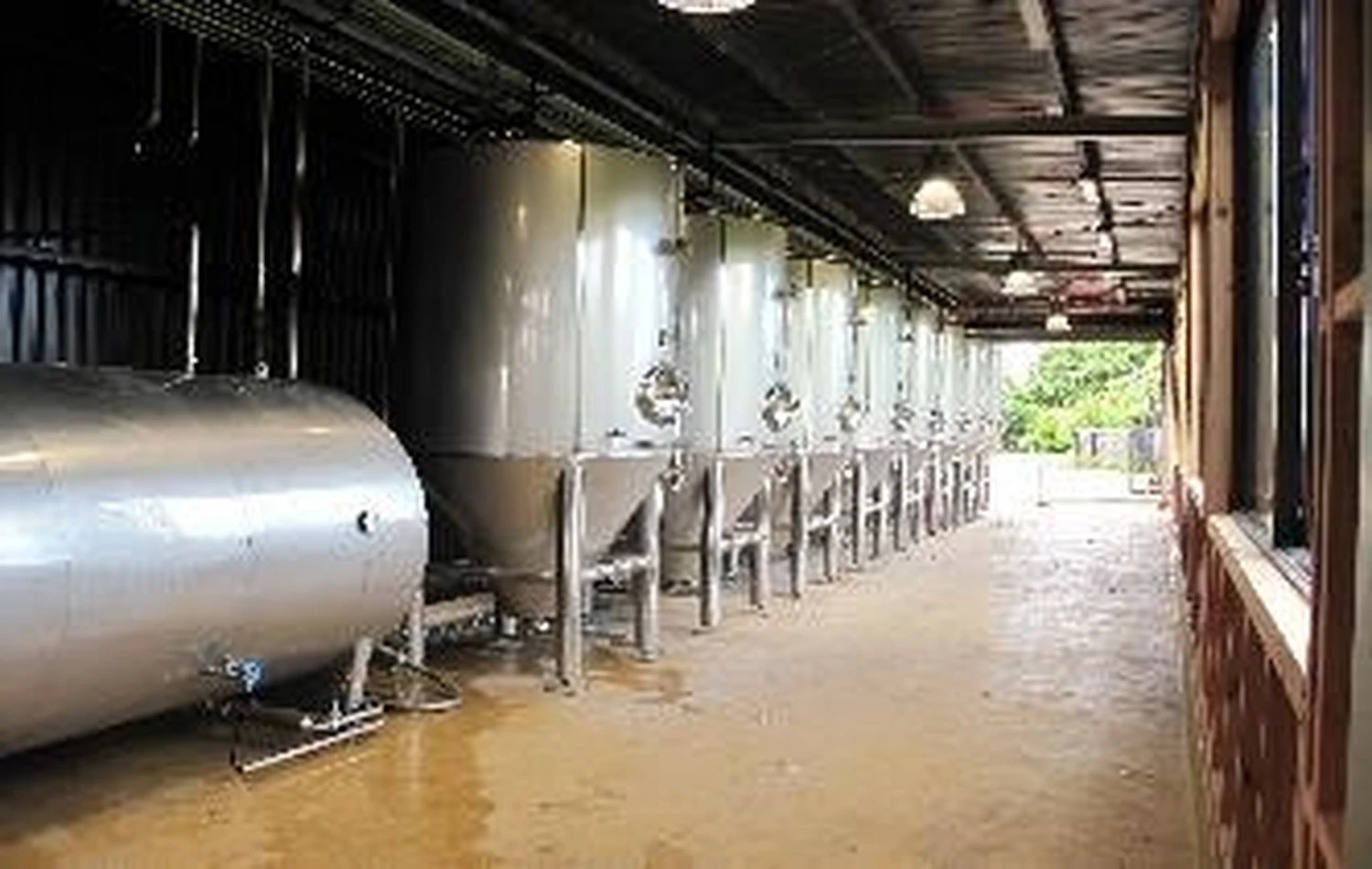 MBT Brautechnik GmbH — Schwarzach am Main — Heineken New Zealand
